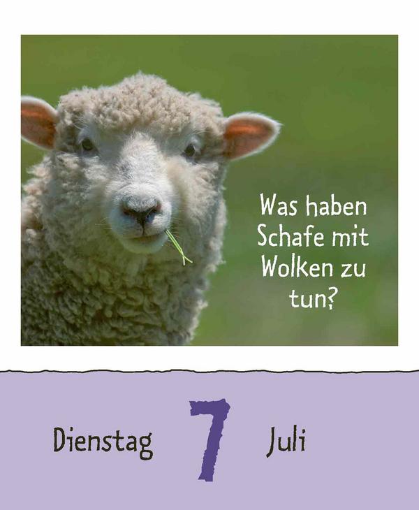 Beispielinhalt (Bild) Wie faul ist das Faultier? 2026
