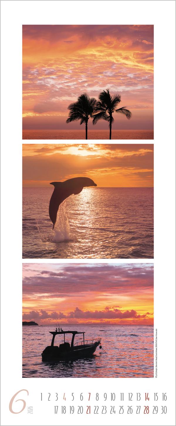 Beispielinhalt (Bild) Meeresrauschen 2026