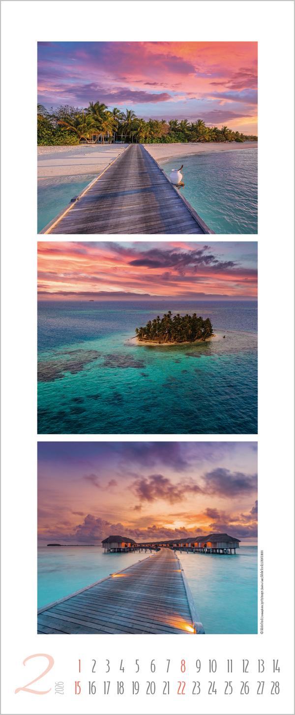 Beispielinhalt (Bild) Meeresrauschen 2026