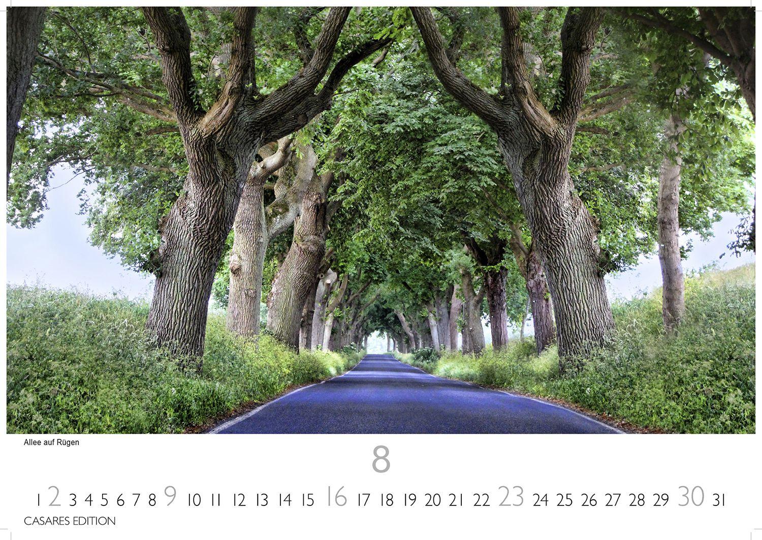 Beispielinhalt (Bild) Rügen Kalender 2026 - Wandkalender | Fotokalender Deutschland 24x35cm |mit stimmungsvollen Bildern von Kreidefelsen, Stränden, Ostseebädern und Naturparadiesen