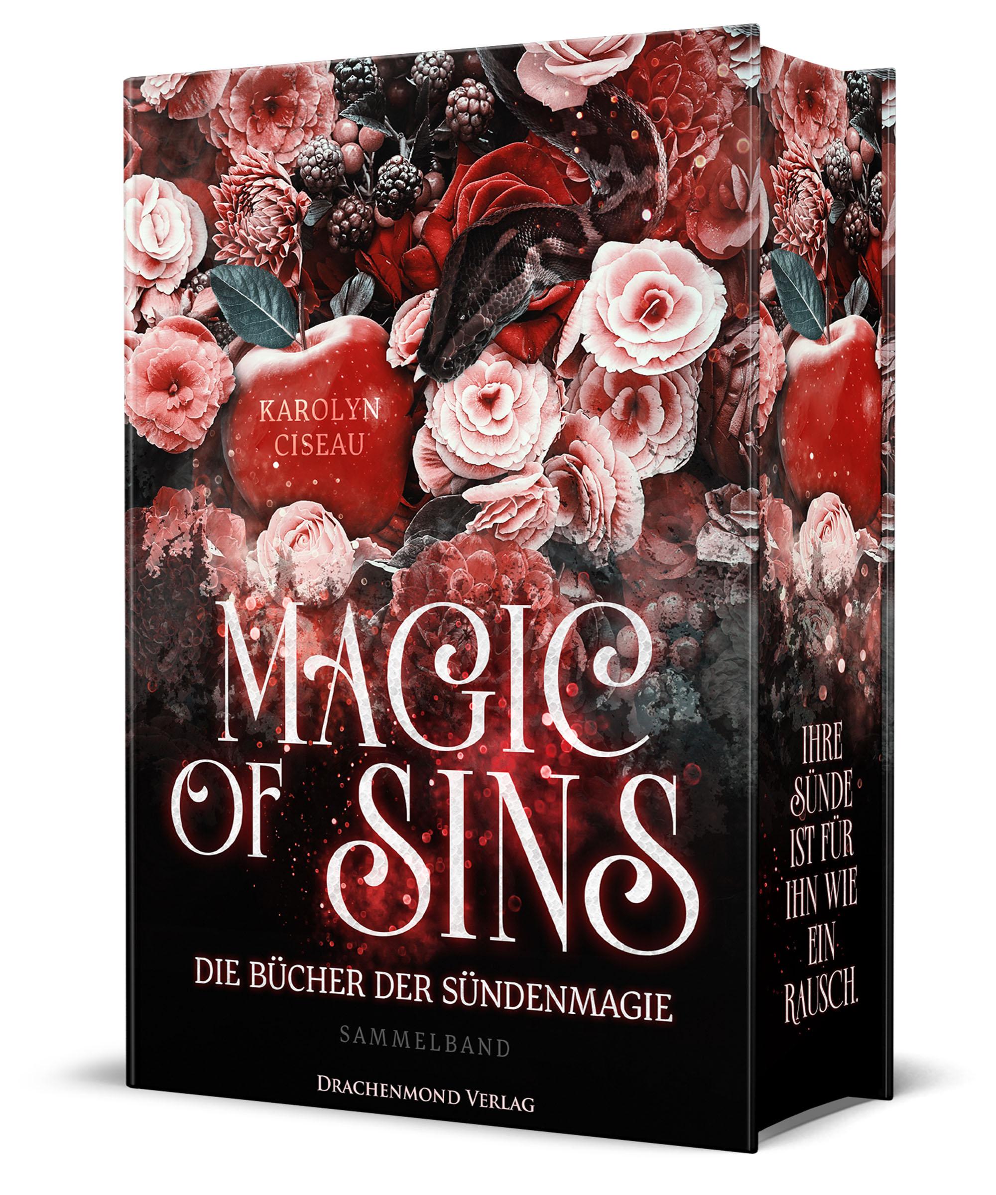 Vorderes Coverbild Magic of Sins