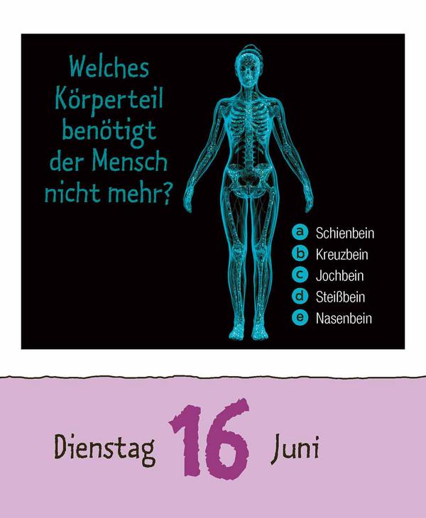 Beispielinhalt (Bild) Vorsicht Geheimwissen 2026