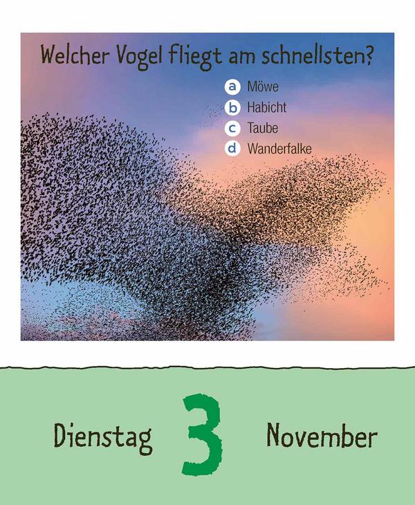 Beispielinhalt (Bild) Vorsicht Geheimwissen 2026