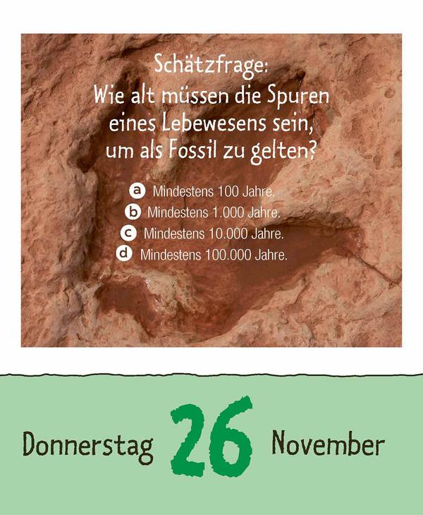 Beispielinhalt (Bild) Vorsicht Geheimwissen 2026