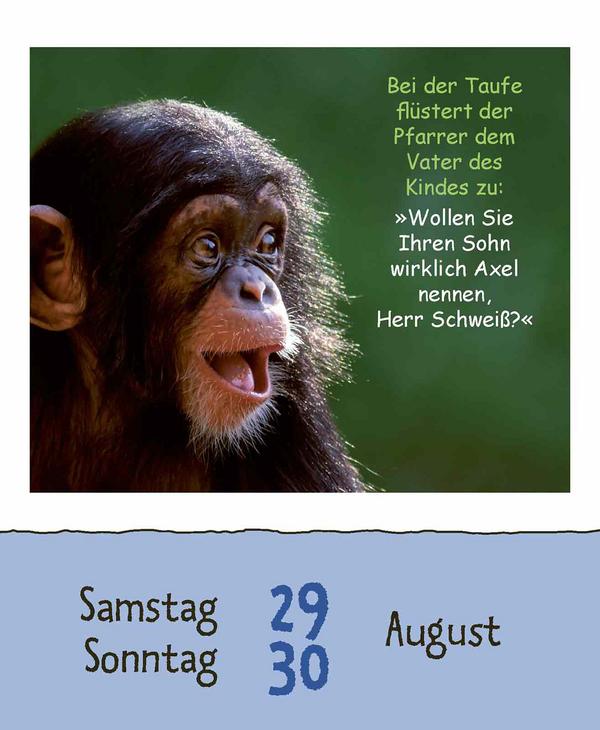 Beispielinhalt (Bild) Schülerwitze 2026