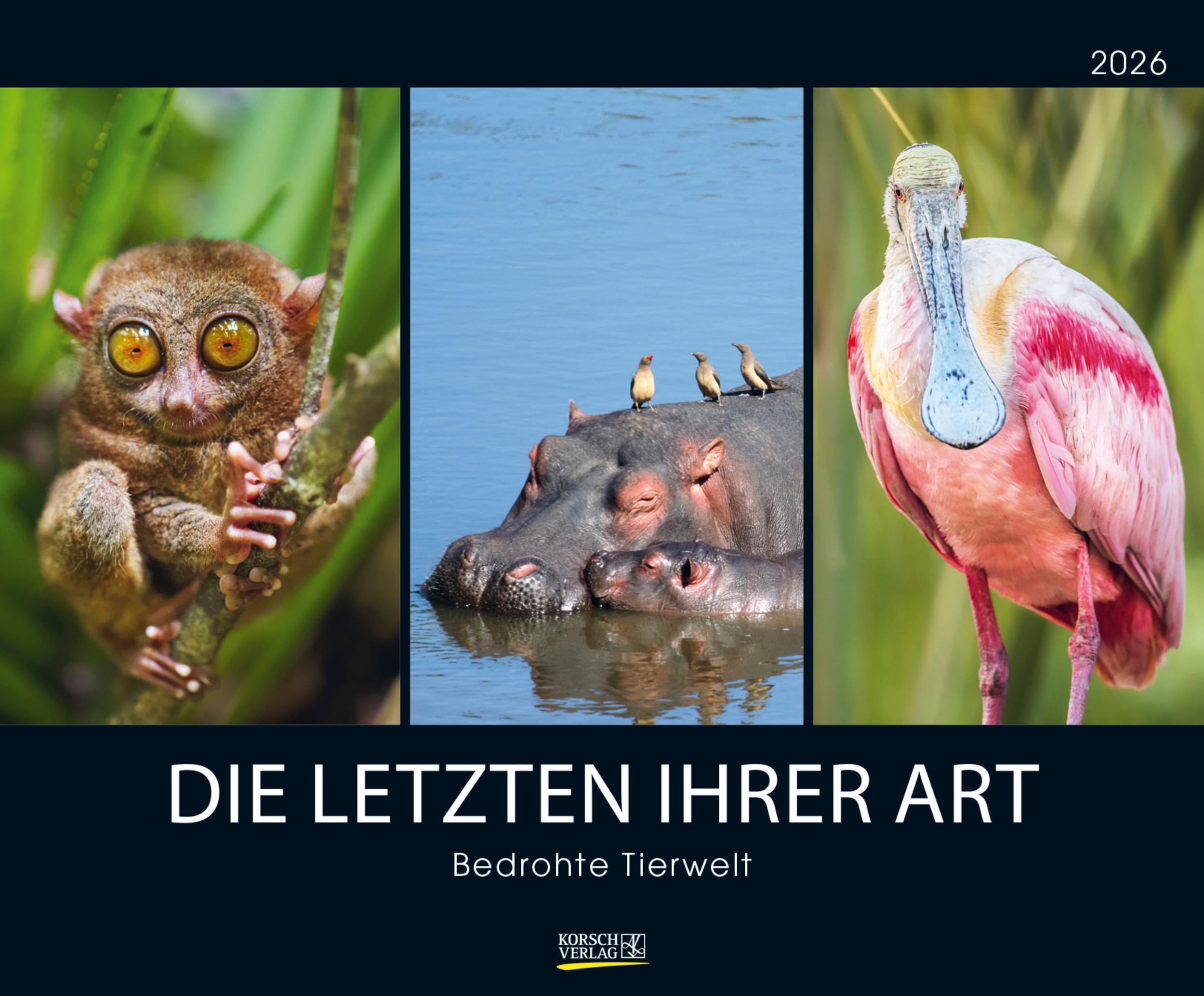 Vorderes Coverbild Bedrohte Tierwelt 2026