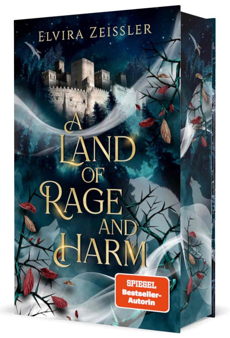 Vorderes Coverbild A Land of Rage and Harm