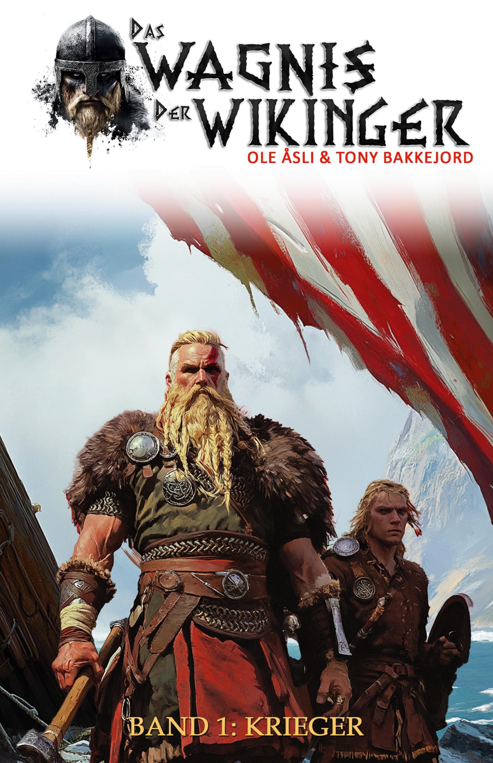 Vorderes Coverbild Das Wagnis der Wikinger - Band 1
