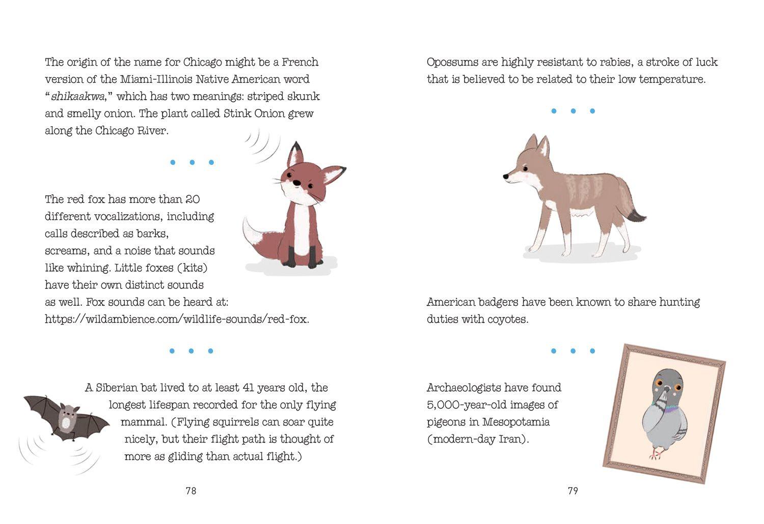 Beispielinhalt (Bild) Trash Animals