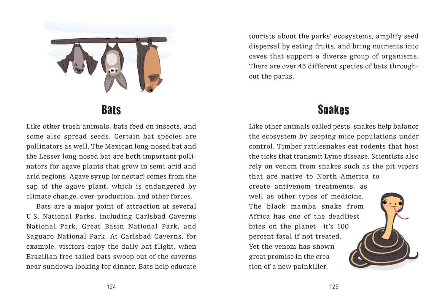 Beispielinhalt (Bild) Trash Animals