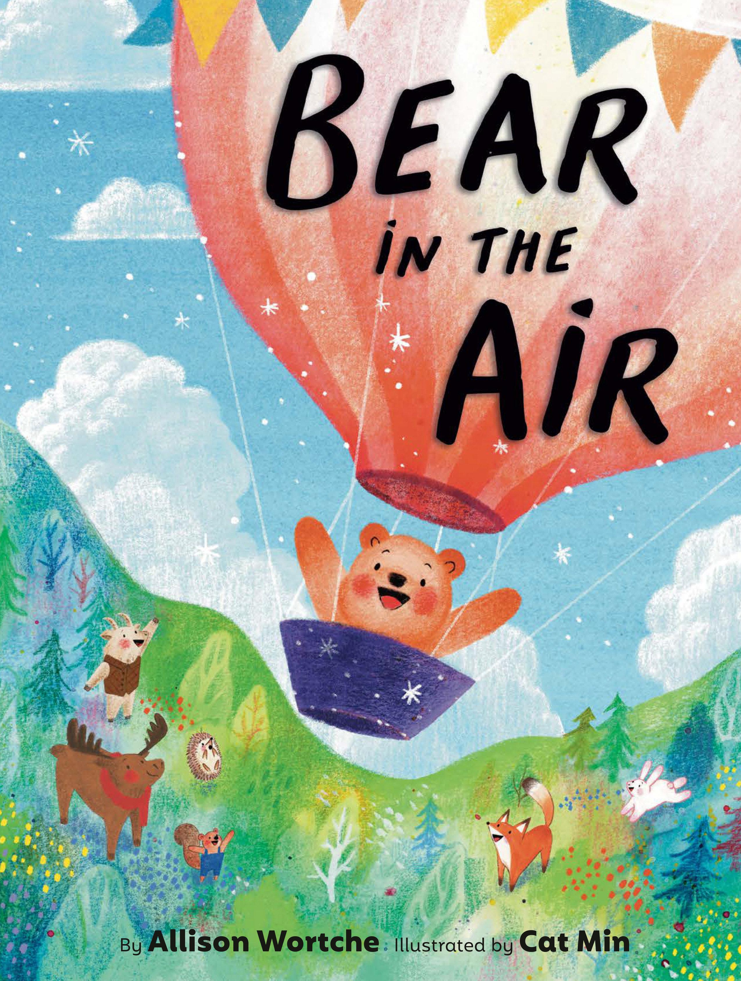 Vorderes Coverbild Bear in the Air