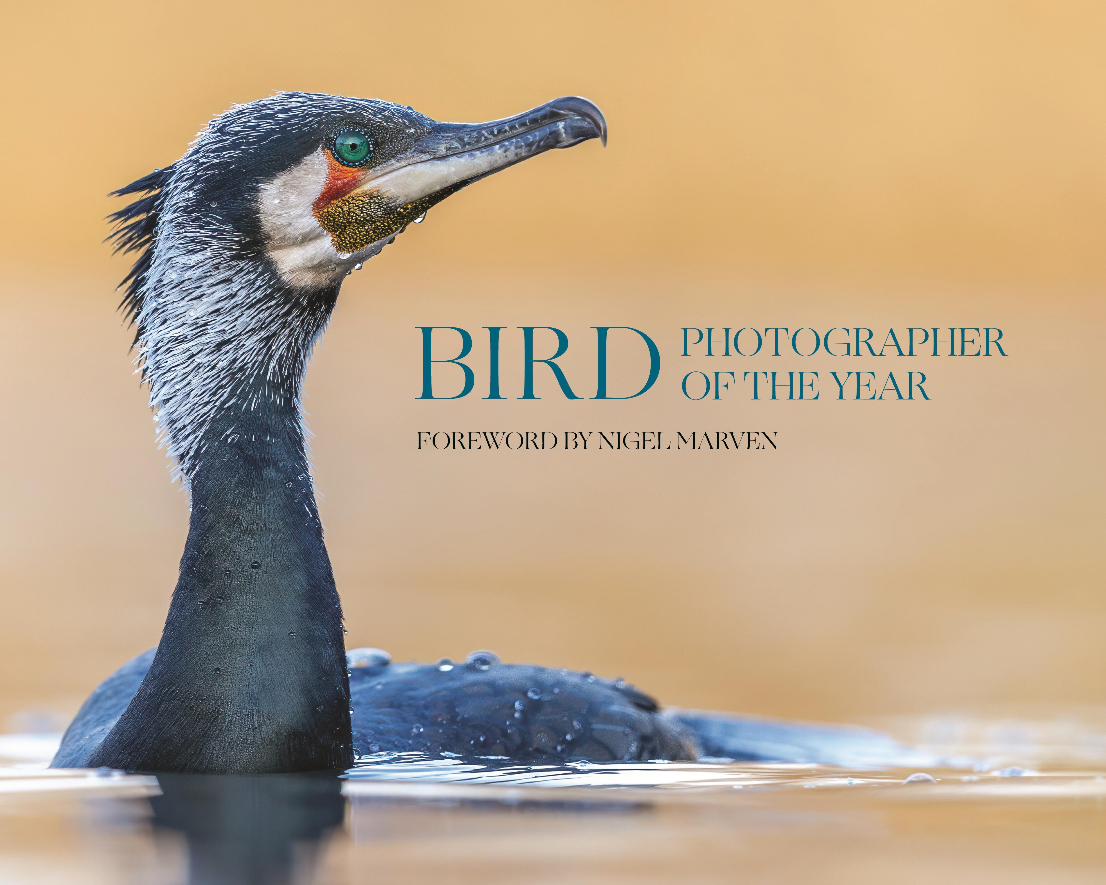 Vorderes Coverbild Bird Photographer of the Year