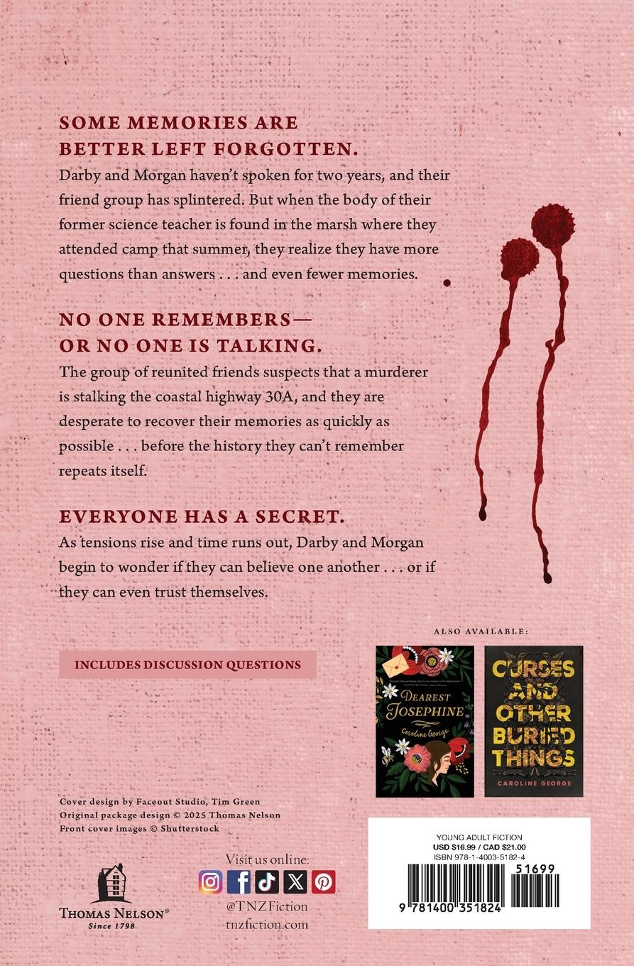 Rückseitencover The Summer We Forgot