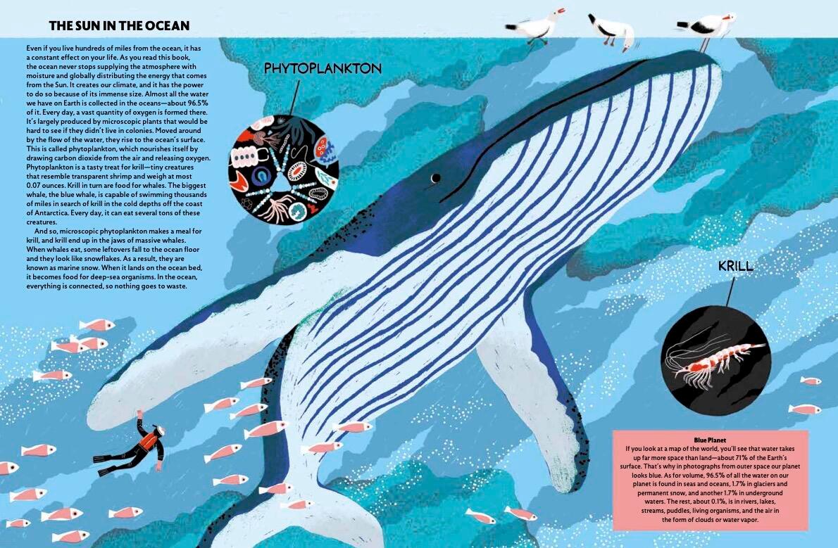 Beispielinhalt (Bild) Water