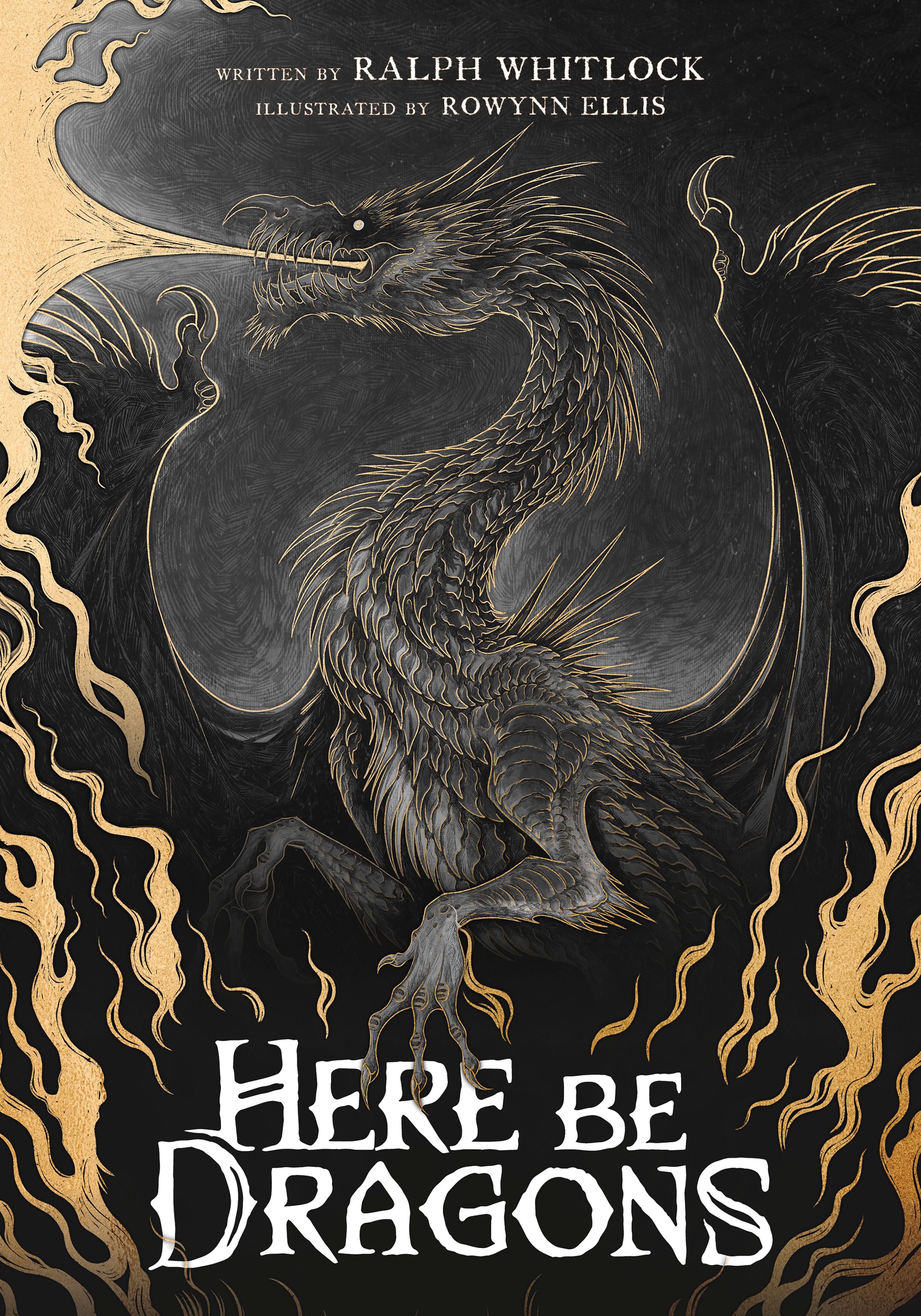 Vorderes Coverbild Here Be Dragons