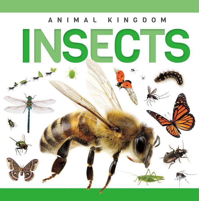Vorderes Coverbild Insects