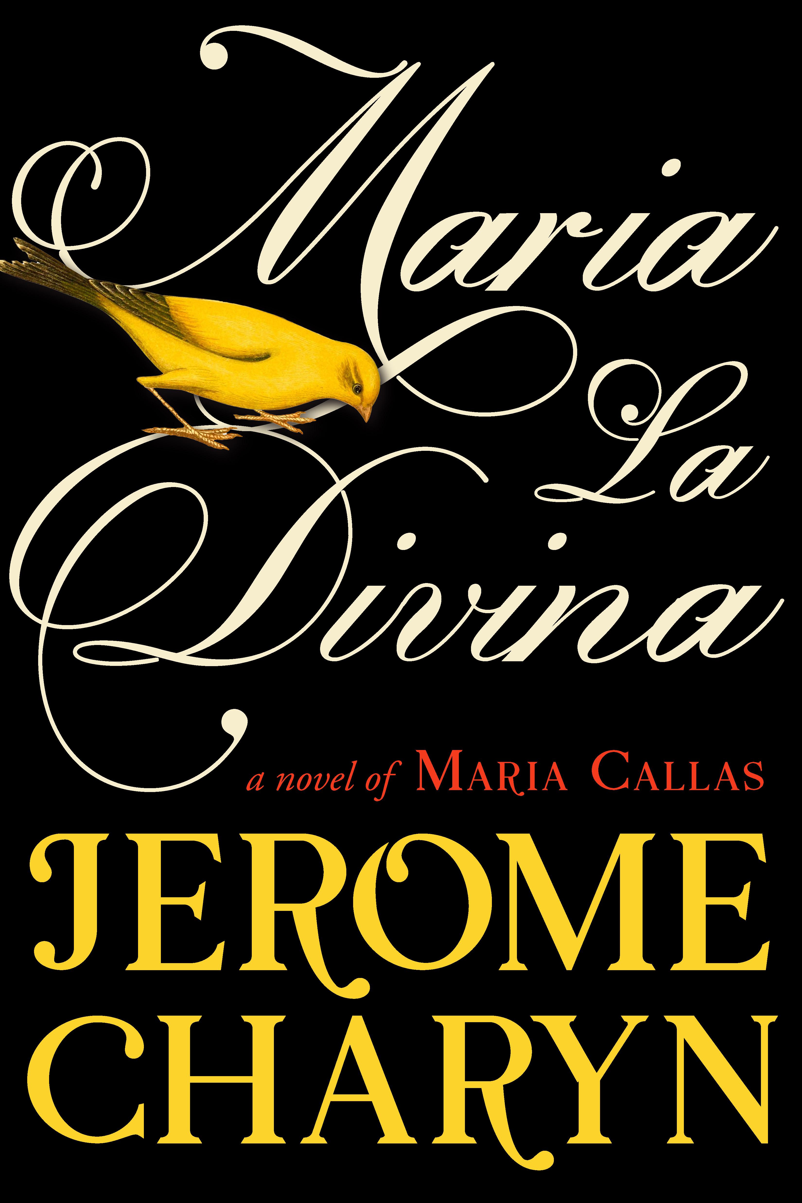 Vorderes Coverbild Maria La Divina