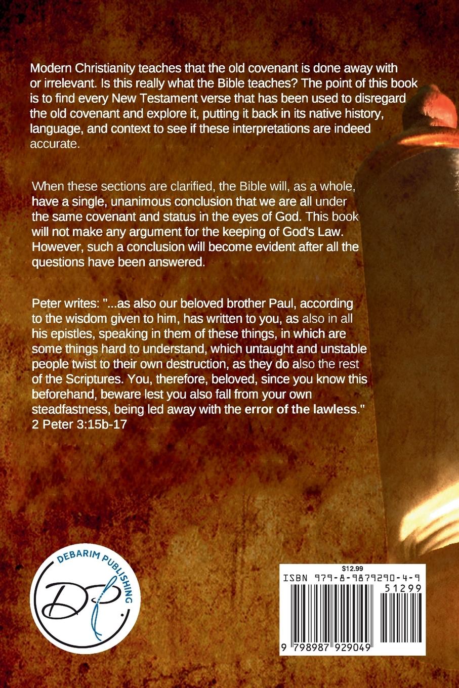 Rückseitencover Error of the Lawless