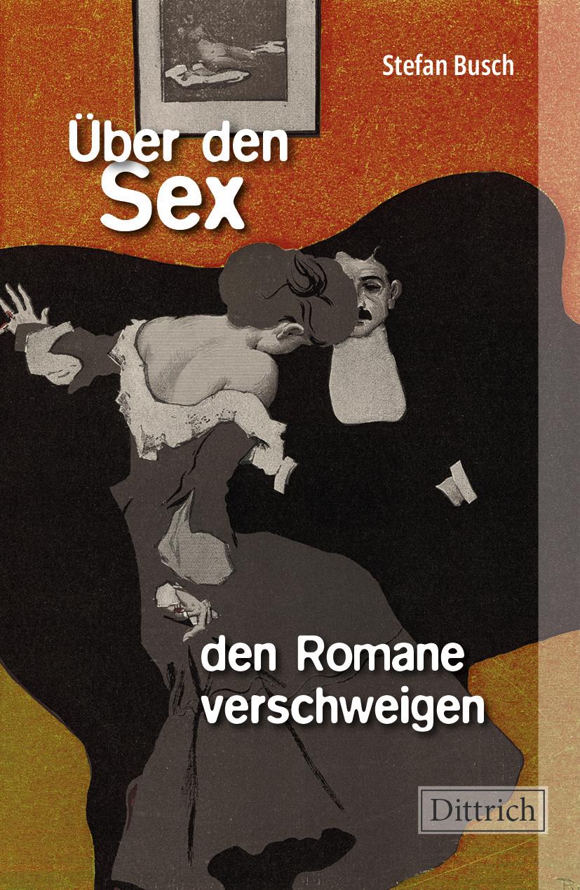 Vorderes Coverbild Über den Sex, den Romane verschweigen