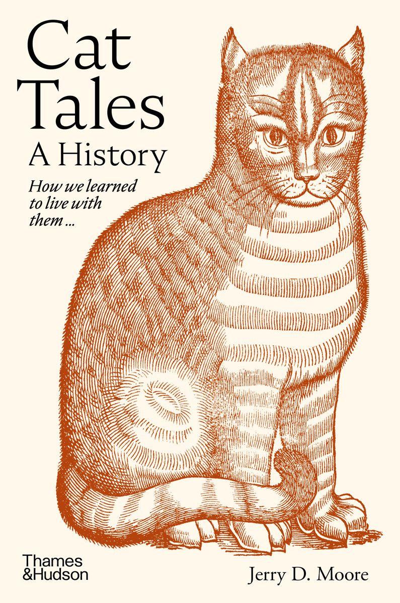 Vorderes Coverbild Cat Tales