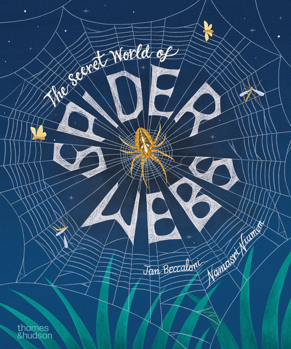Vorderes Coverbild The Secret World of Spiderwebs