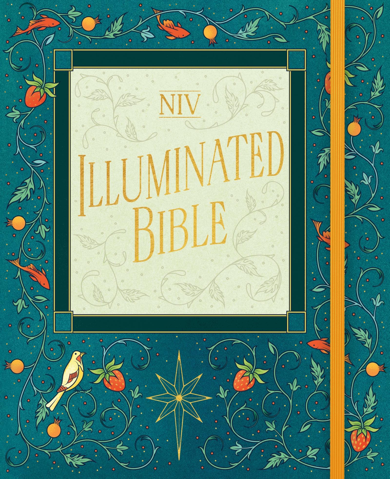 Vorderes Coverbild NIV Illuminated Bible