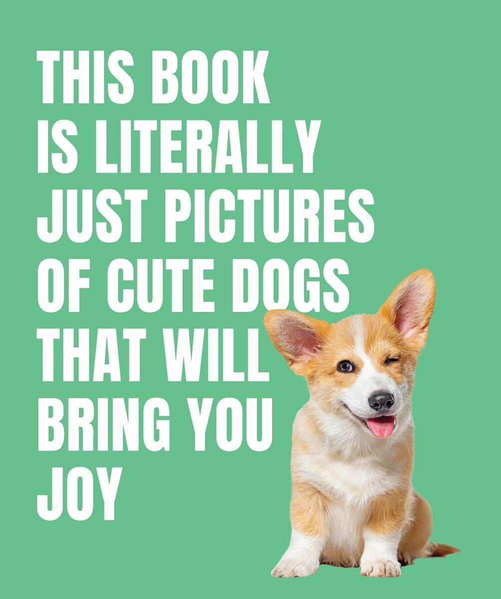 Vorderes Coverbild This Book is Literally Just Cute Dogs That Will Bring You Joy