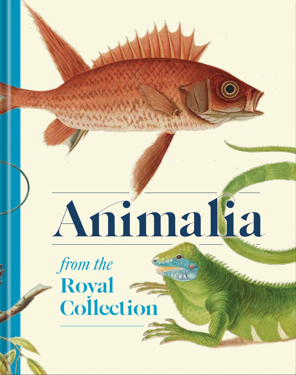 Vorderes Coverbild Animalia