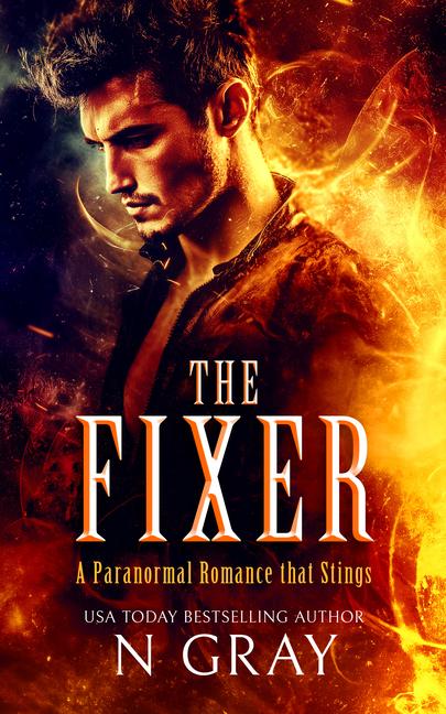 Vorderes Coverbild The Fixer