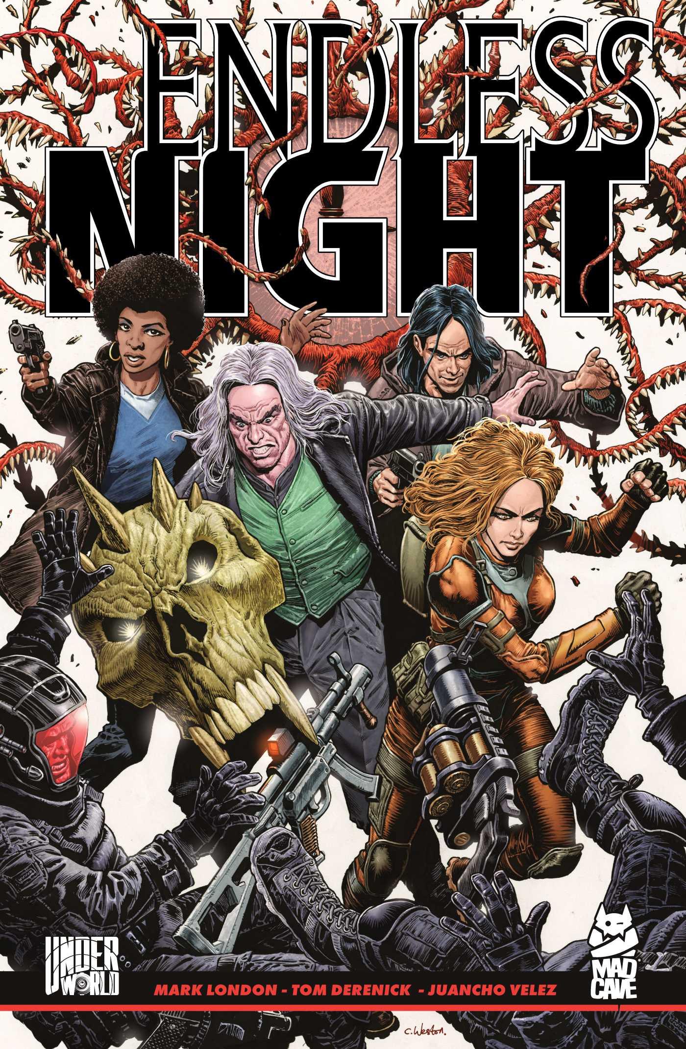 Vorderes Coverbild Endless Night