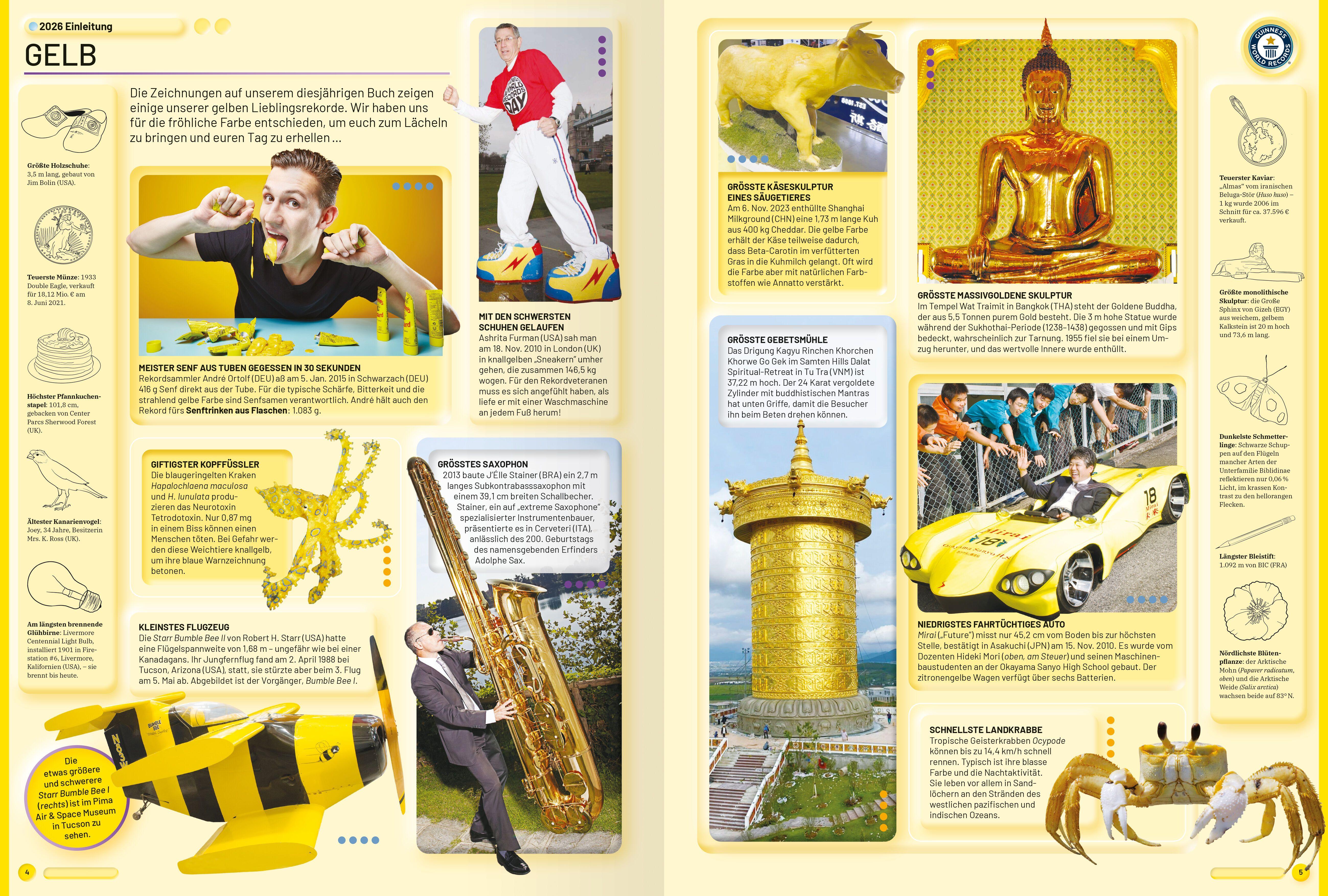 Beispielinhalt (Bild) Guinness World Records - 2026