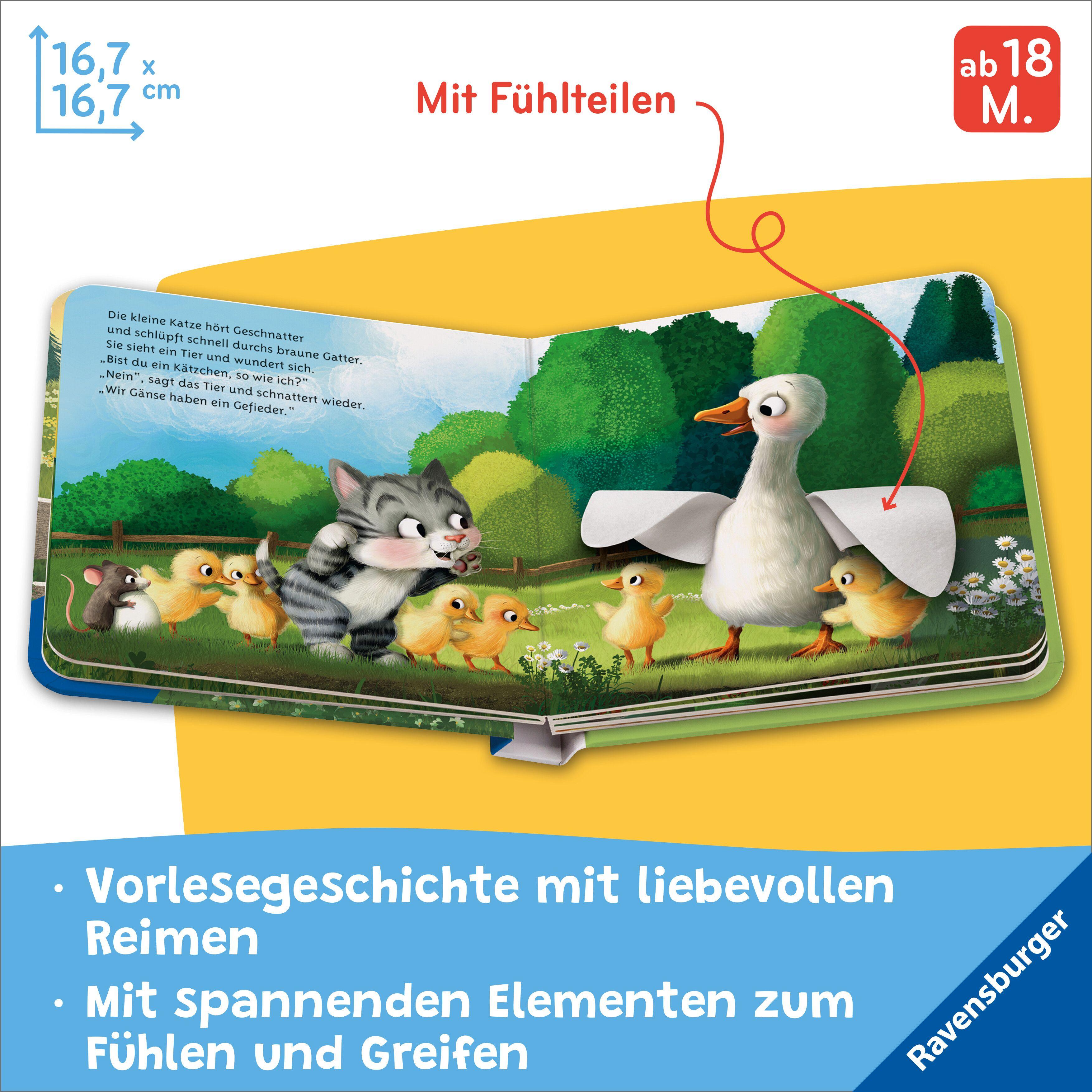 Beispielinhalt (Bild) Mein erstes Vorlese-Fühlbuch - Bist du eine Katze?