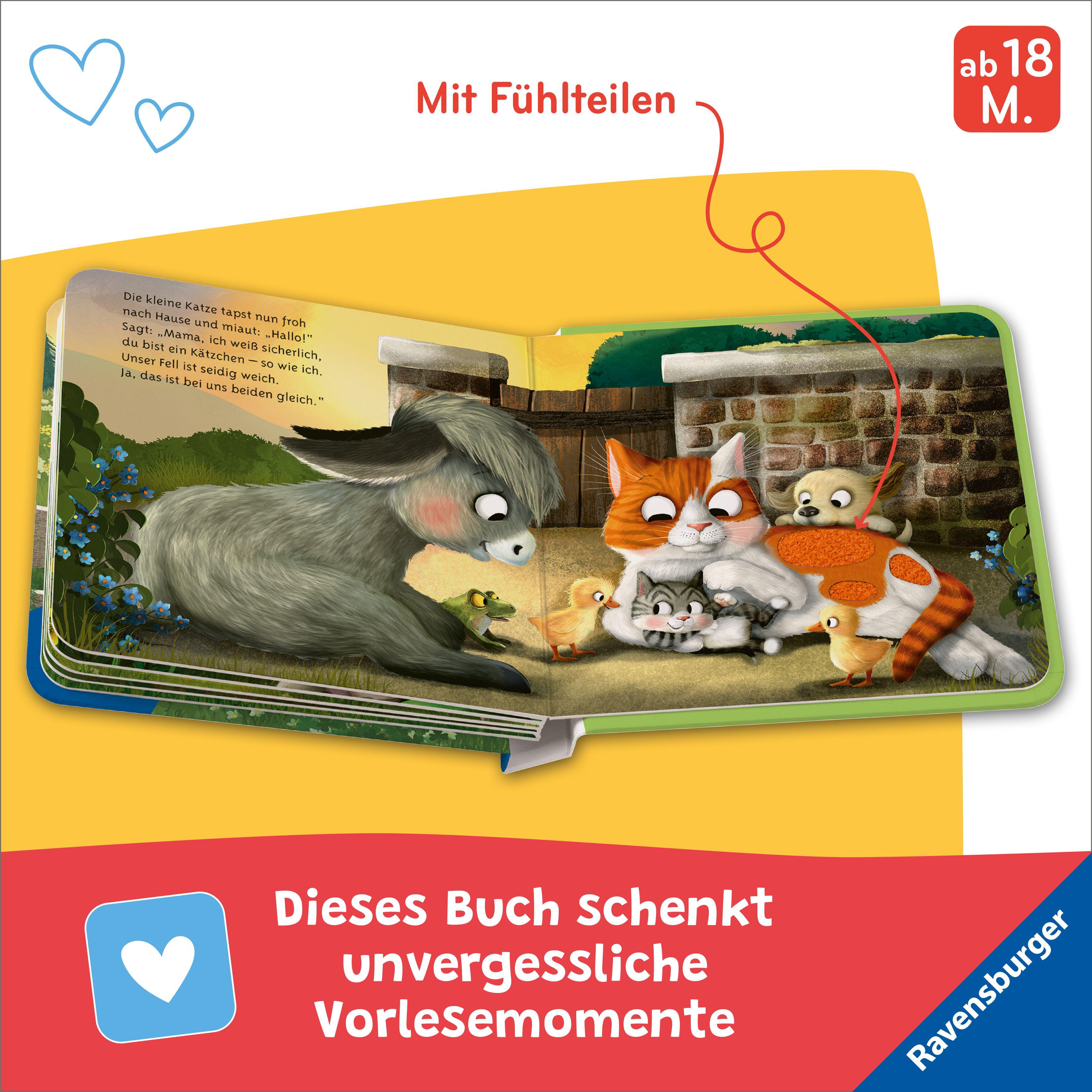 Beispielinhalt (Bild) Mein erstes Vorlese-Fühlbuch - Bist du eine Katze?