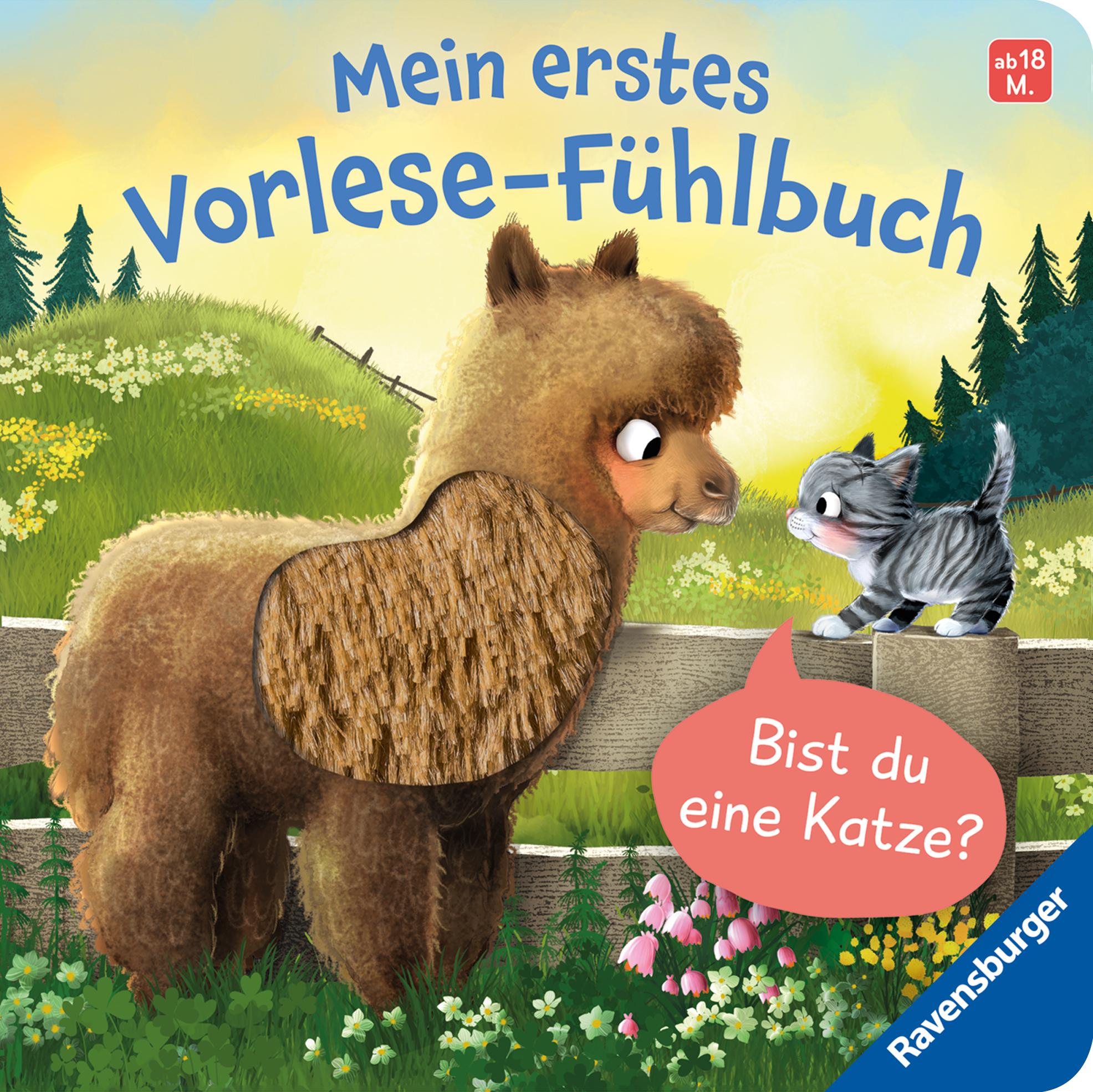 Vorderes Coverbild Mein erstes Vorlese-Fühlbuch - Bist du eine Katze?