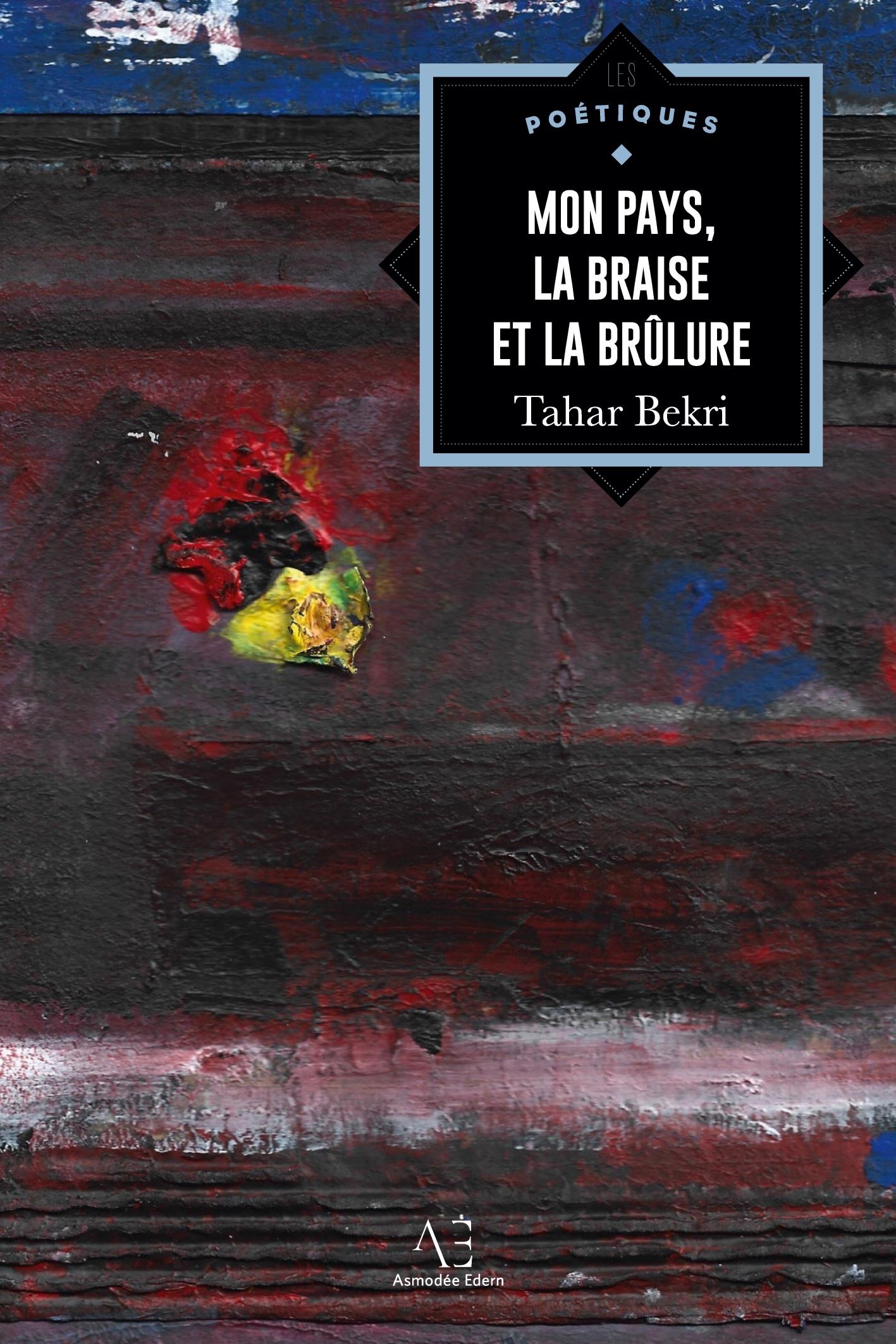 Vorderes Coverbild Mon pays, la braise et la brûlure