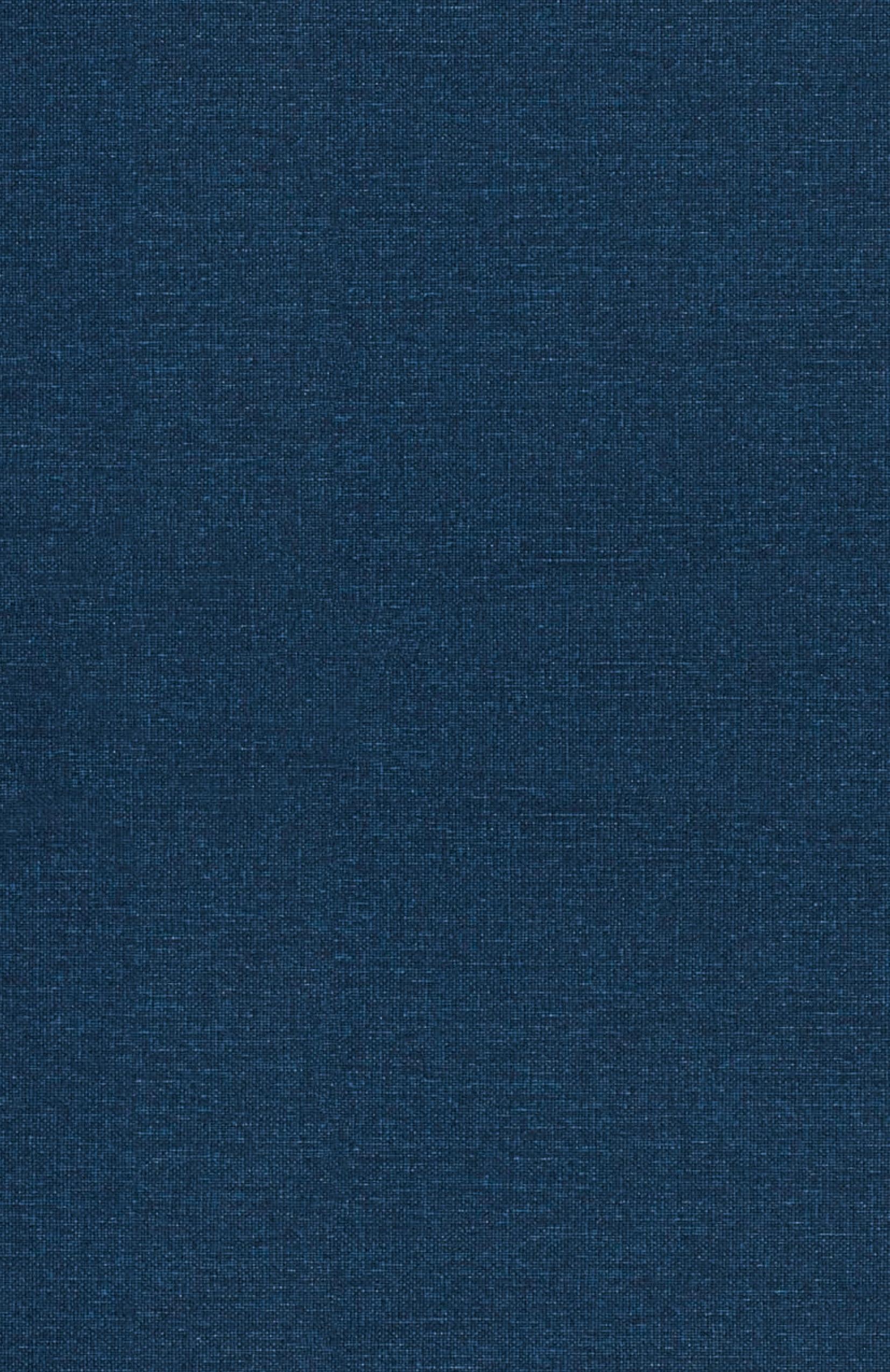 Vorderes Coverbild Jack the Ripper Unveiled