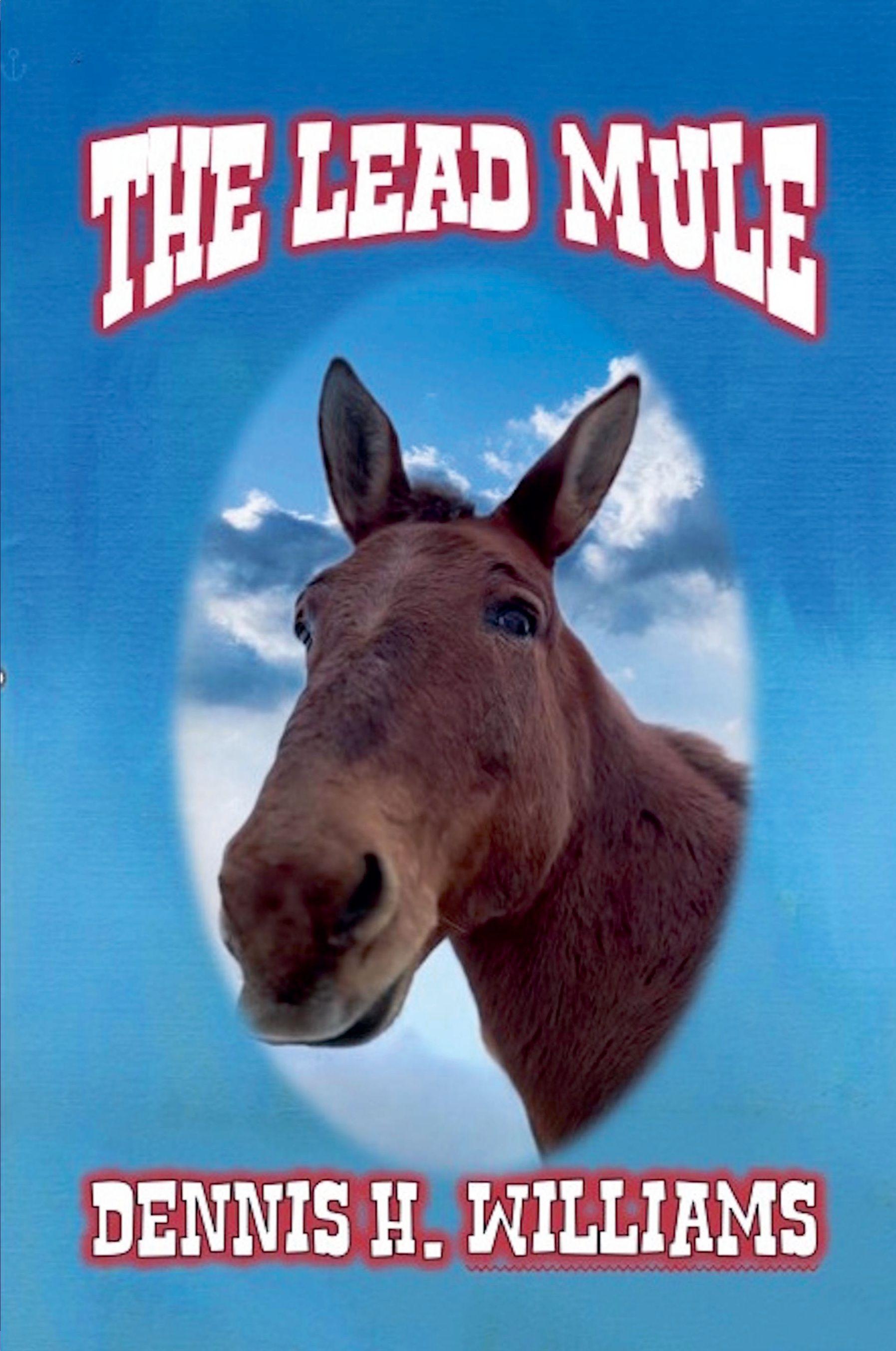 Vorderes Coverbild The Lead Mule