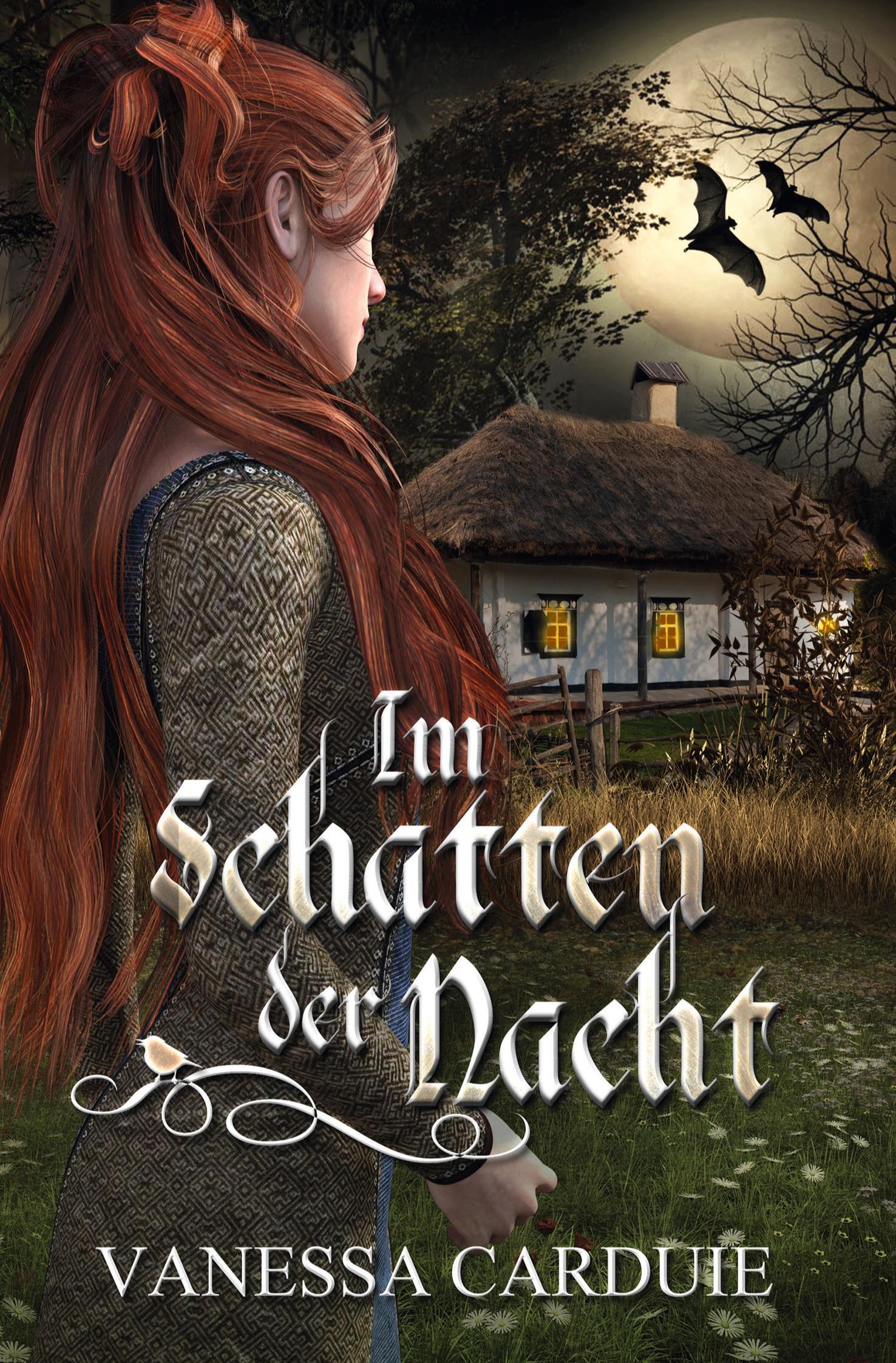 Vorderes Coverbild Im Schatten der Nacht
