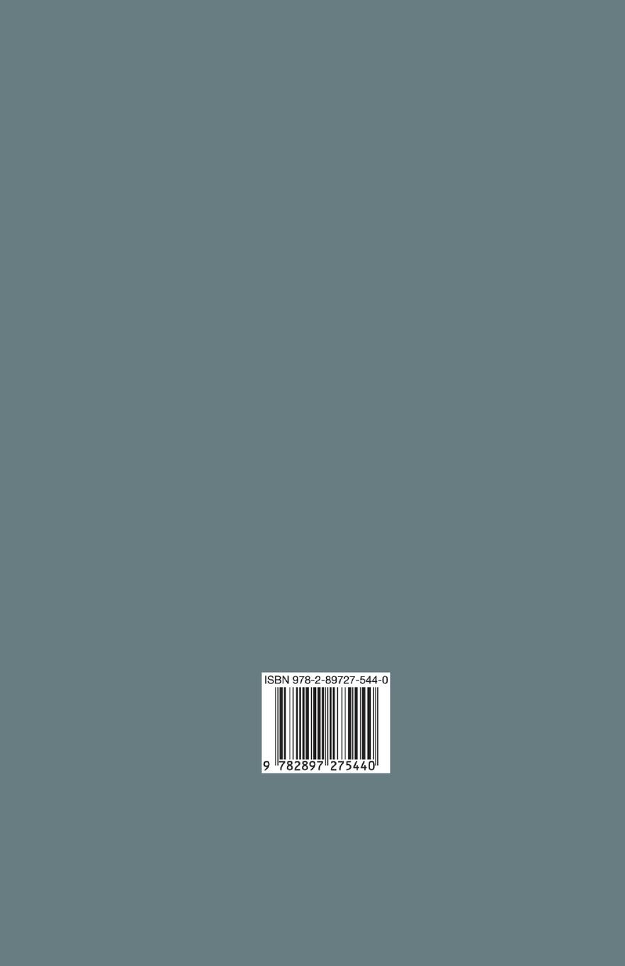 Rückseitencover A Strange Disappearance(Illustrated)
