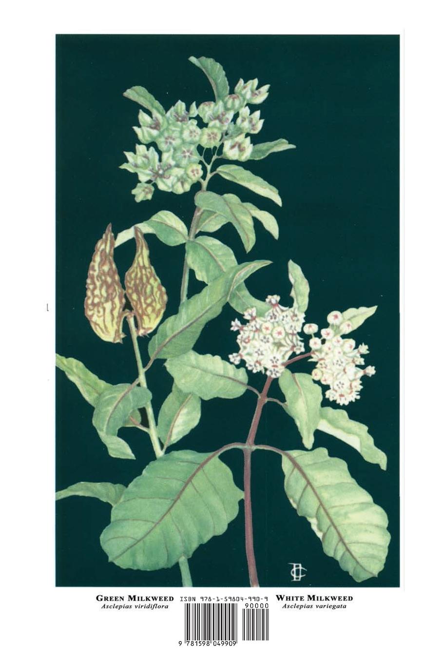 Rückseitencover Flowers Native to the Deep South