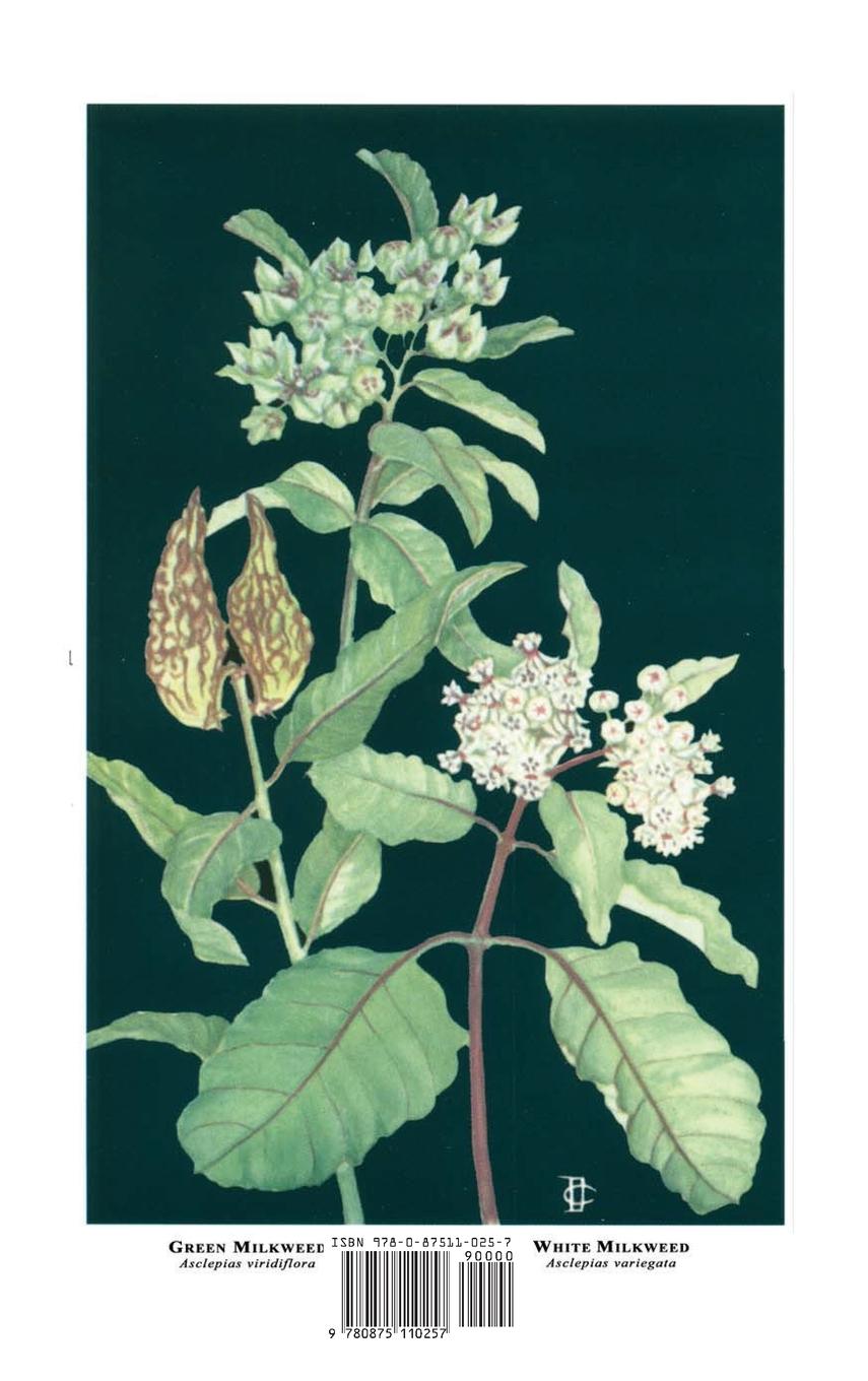 Rückseitencover Flowers Native to the Deep South