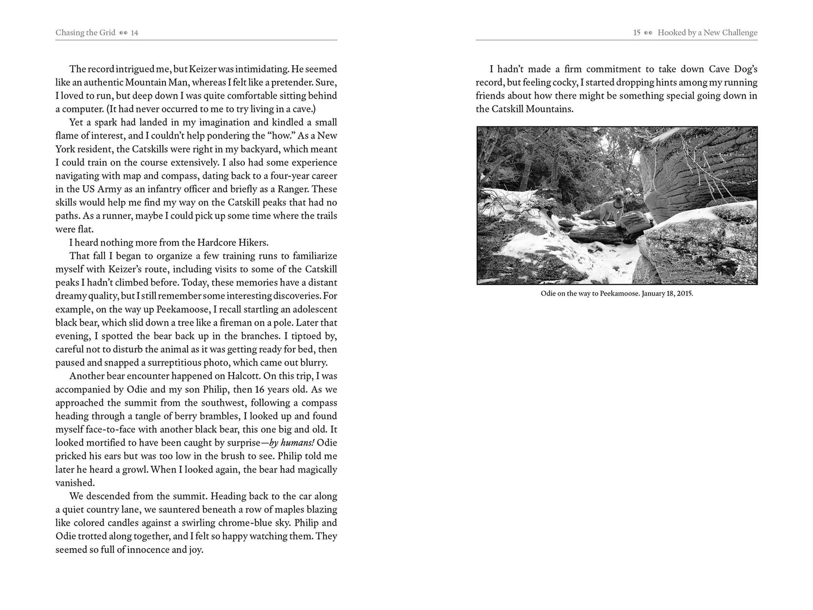 Beispielinhalt (Bild) Chasing the Grid