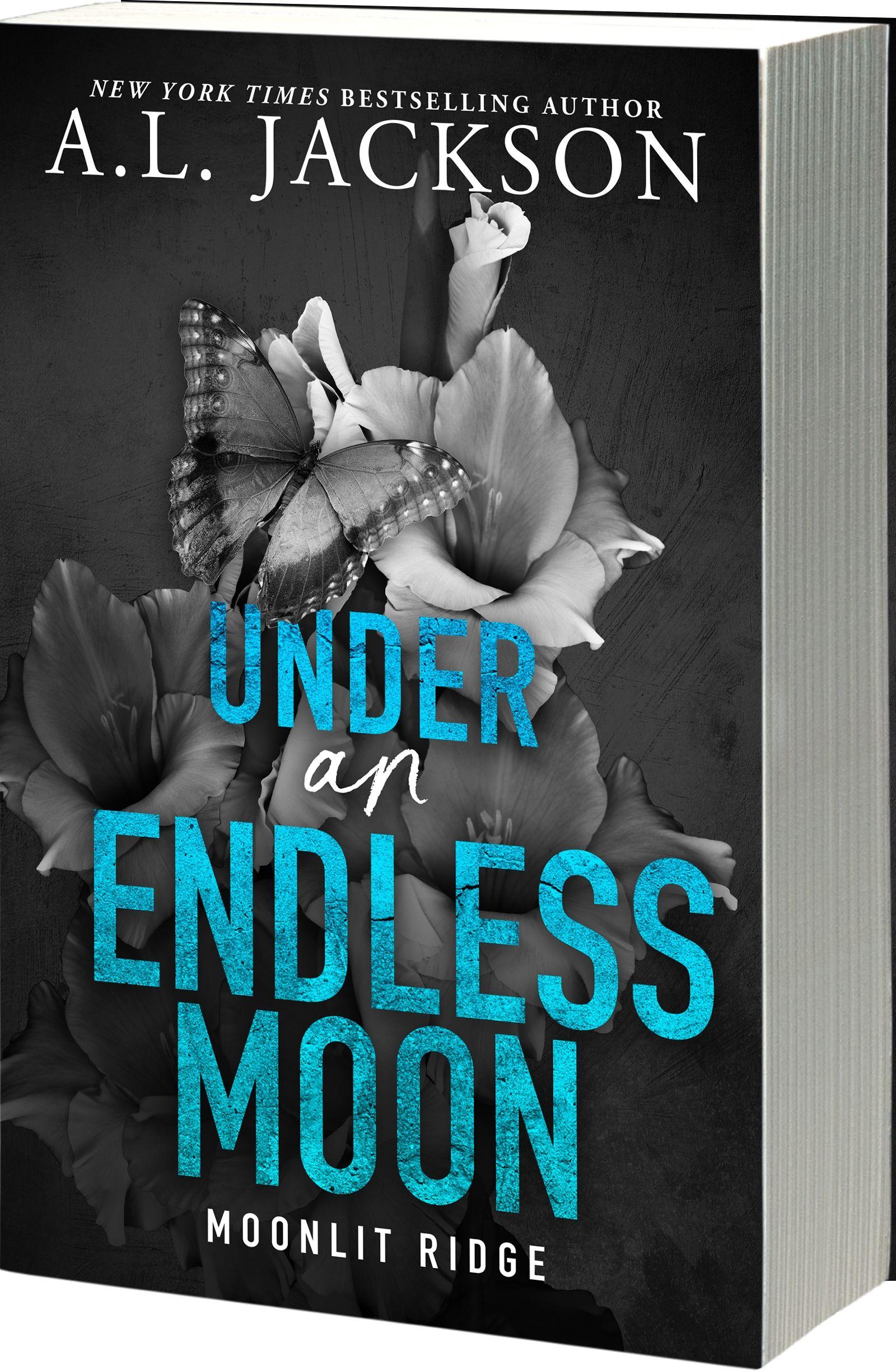 Vorderes Coverbild Under an Endless Moon