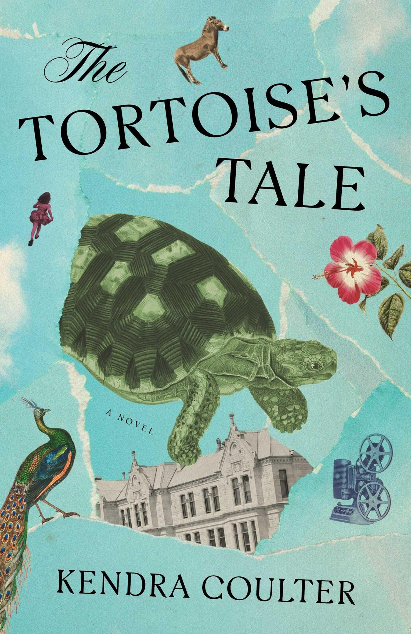 Vorderes Coverbild The Tortoise's Tale