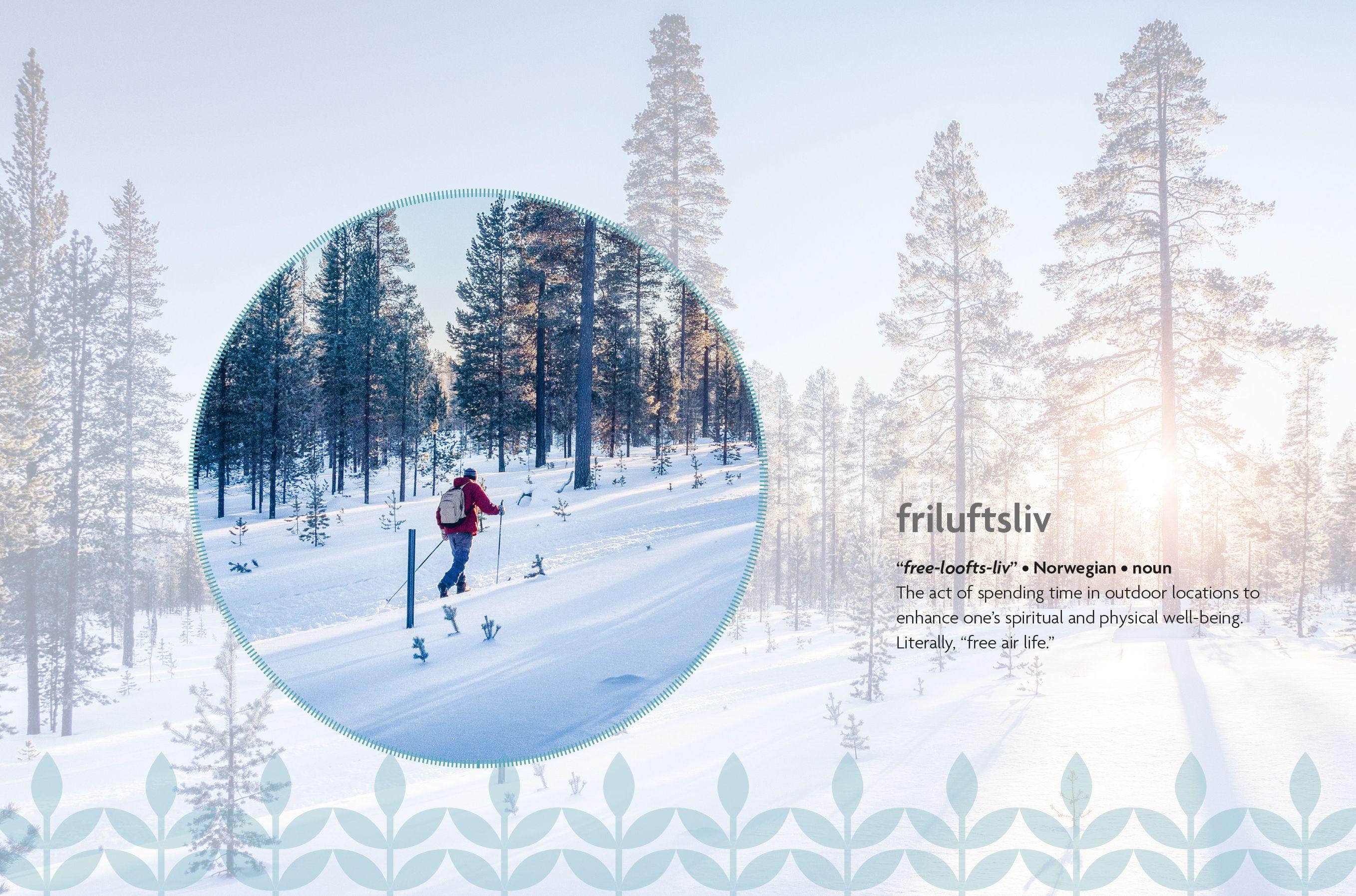 Beispielinhalt (Bild) Nordic Wisdom
