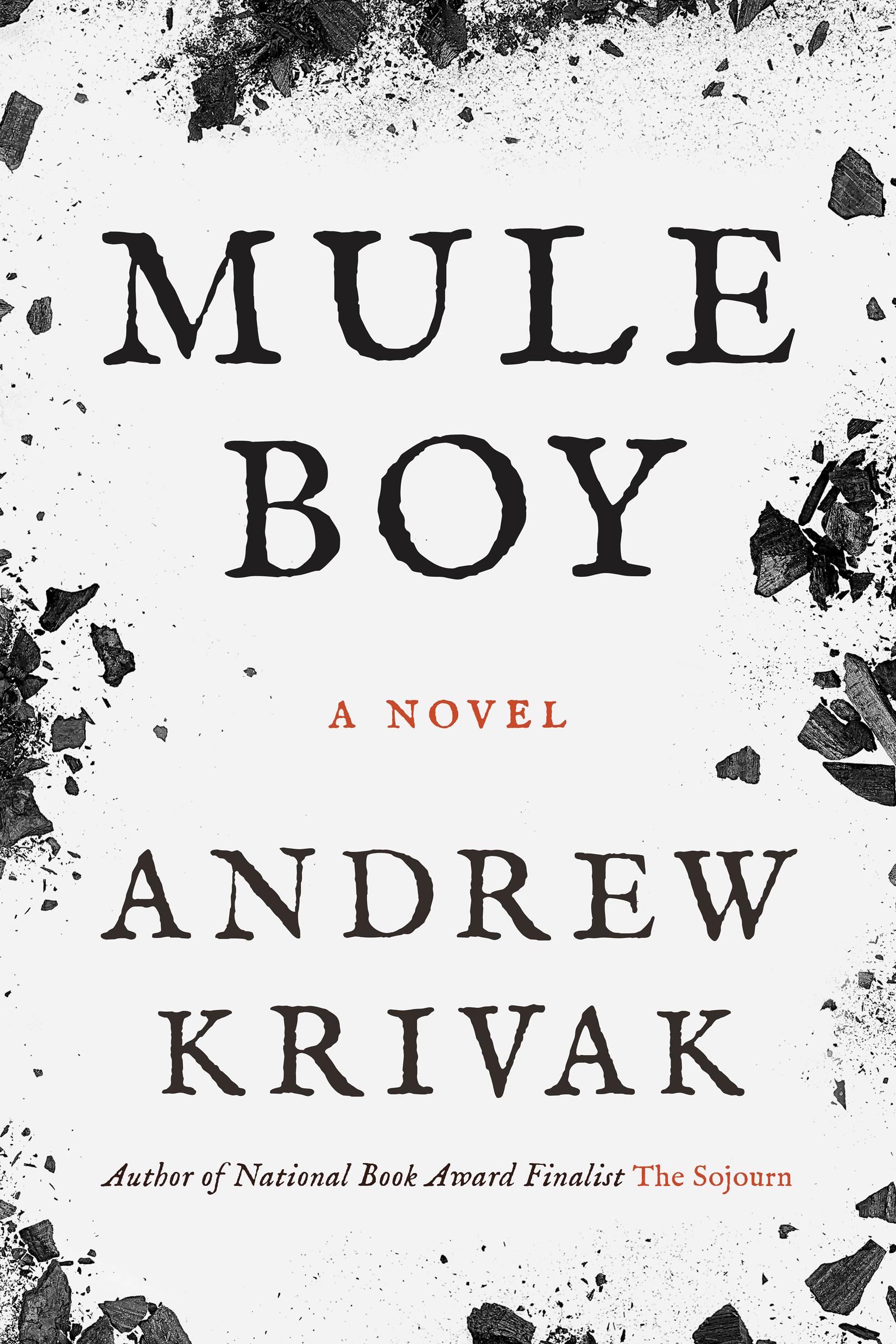 Vorderes Coverbild Mule Boy