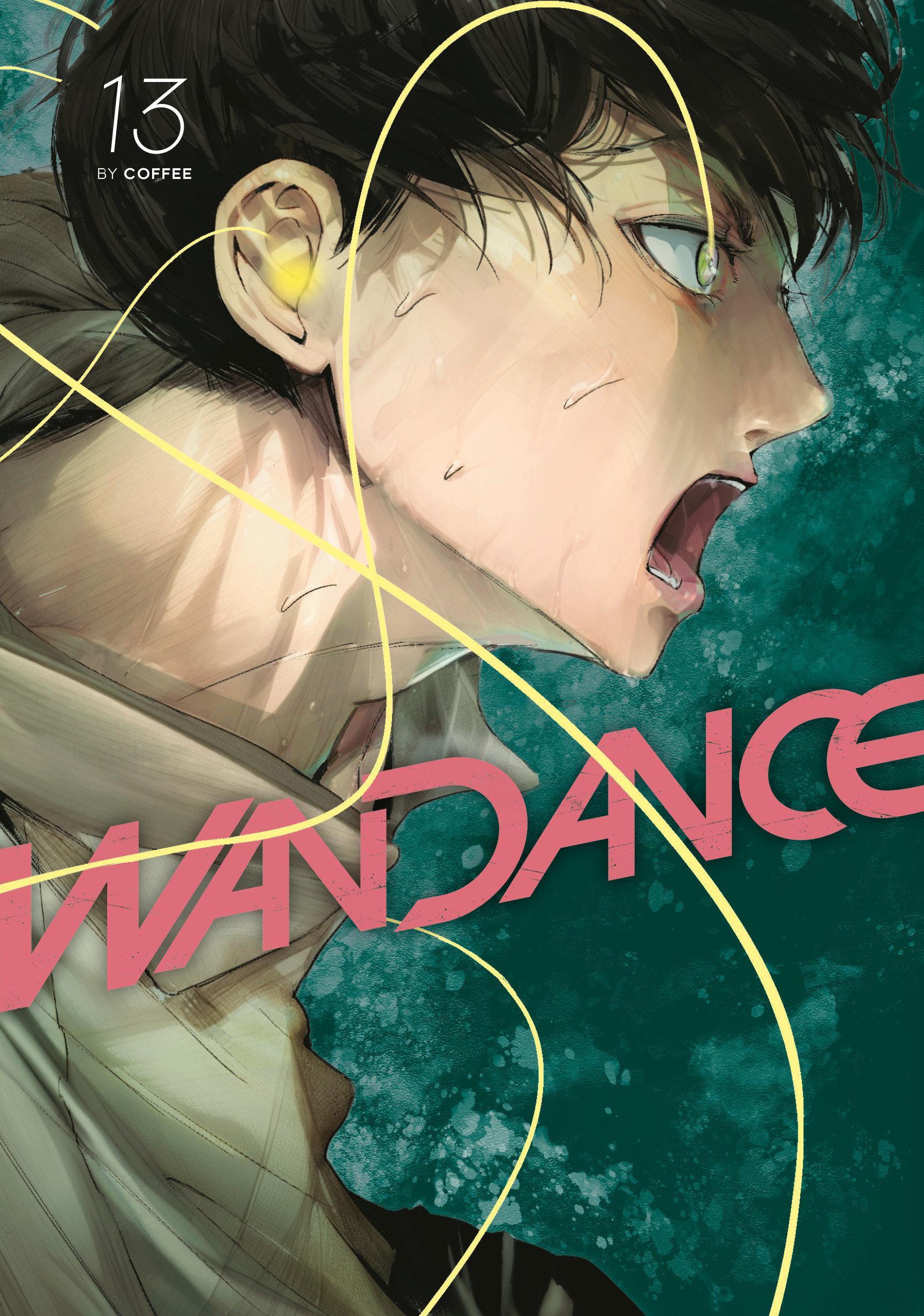 Vorderes Coverbild Wandance 13