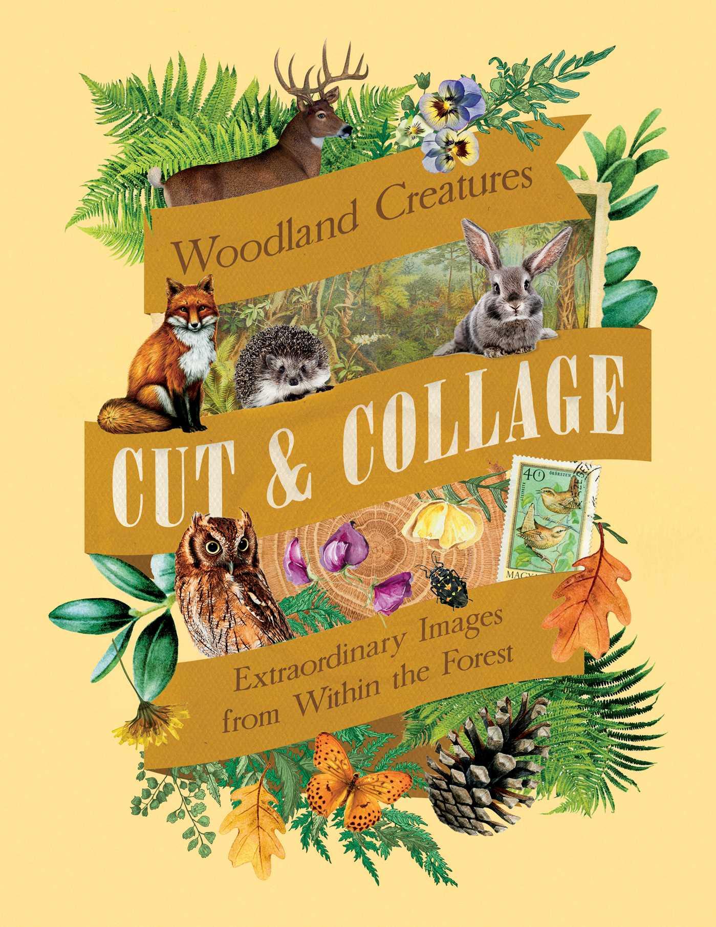 Vorderes Coverbild Cut & Collage Woodland Creatures