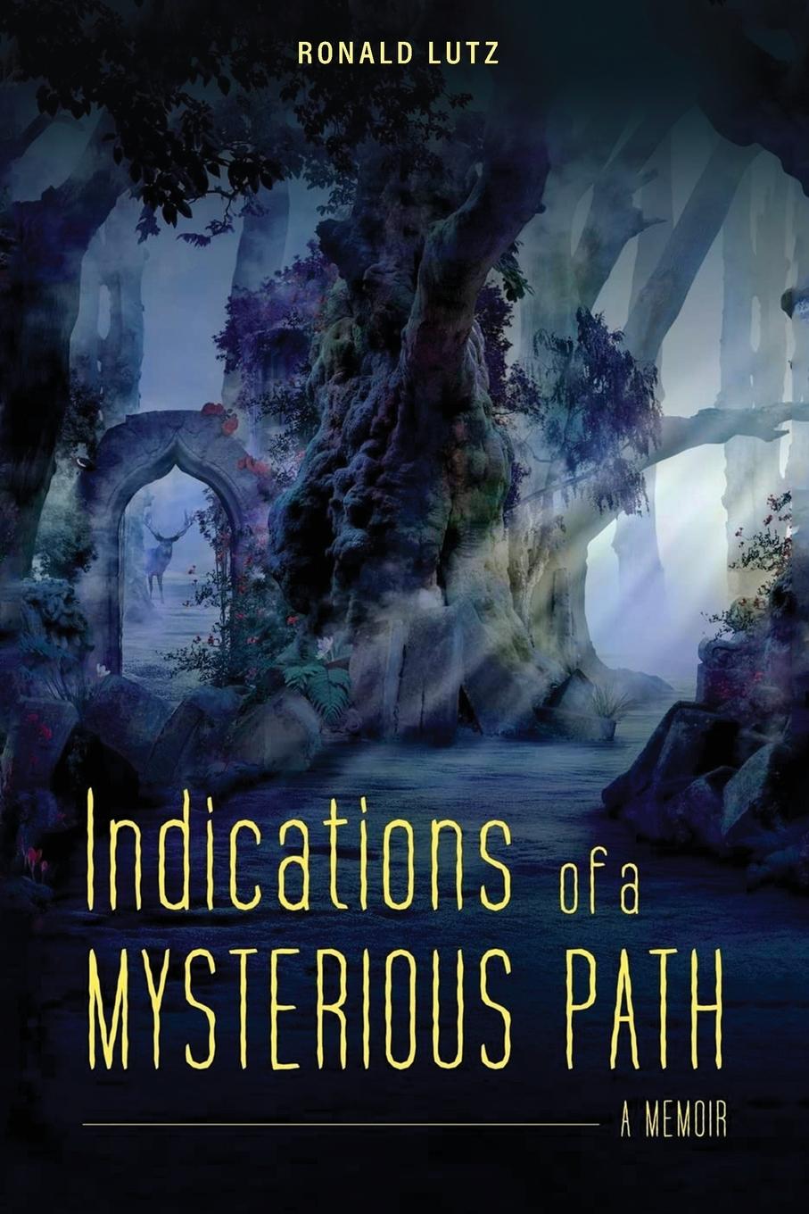Vorderes Coverbild Indications of a Mysterious Path