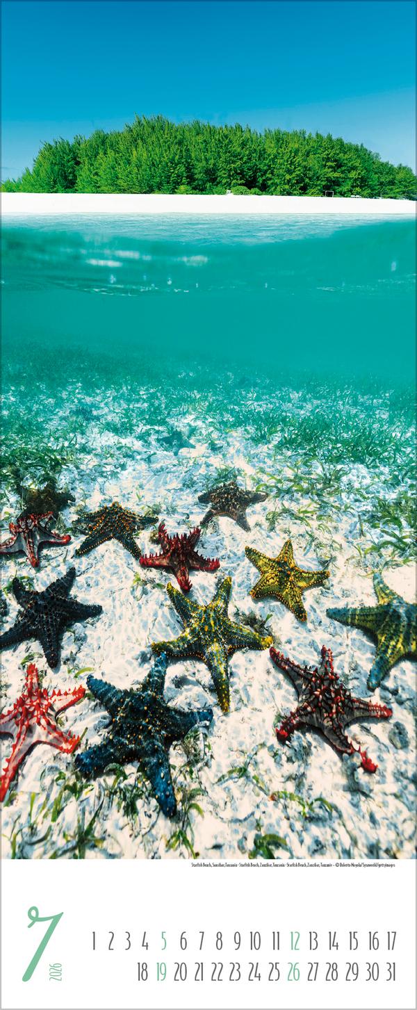 Beispielinhalt (Bild) Magische Momente am Meer 2026